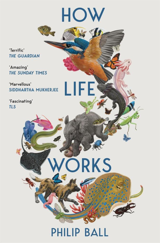 How Life Works (A User’s Guide to the New Biology) - kniha z kategorie Biologie