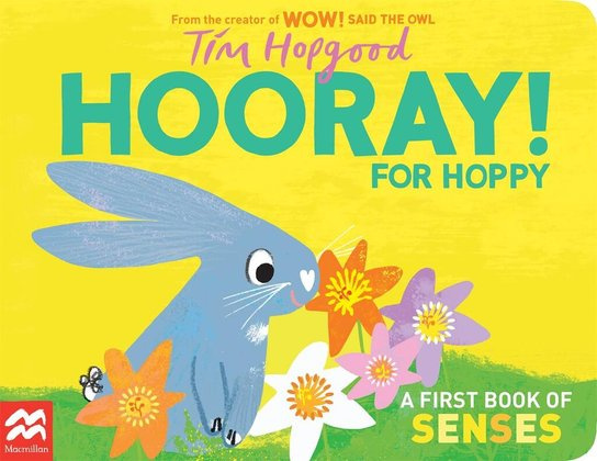 Hooray for Hoppy, A First Book of Senses Pan Macmillan