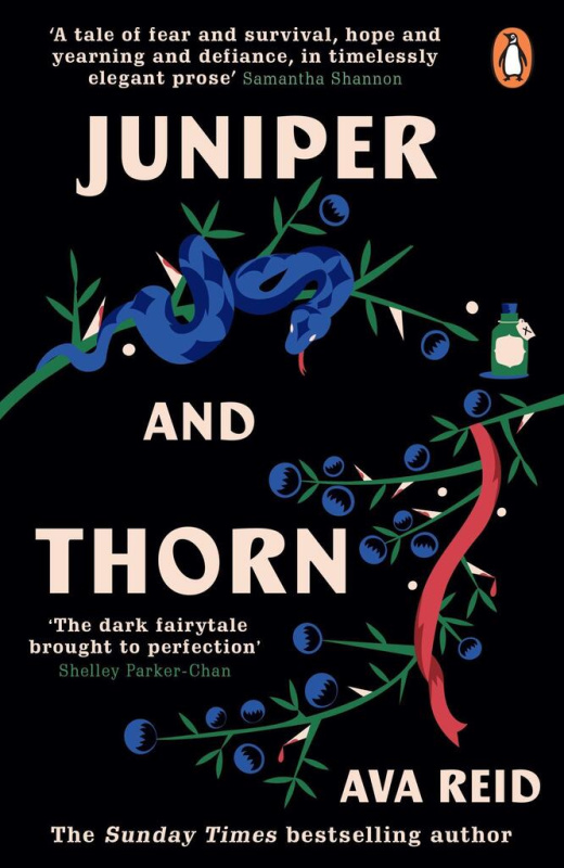 Juniper & Thorn - Ava Reid - kniha z kategorie Fantasy