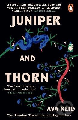 Juniper & Thorn - Ava Reid - kniha z kategorie Fantasy