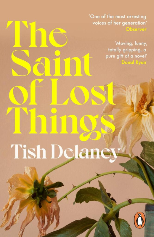 The Saint of Lost Things (A Guardian Summer Read) - Tish Delaney - kniha z kategorie Společenská beletrie