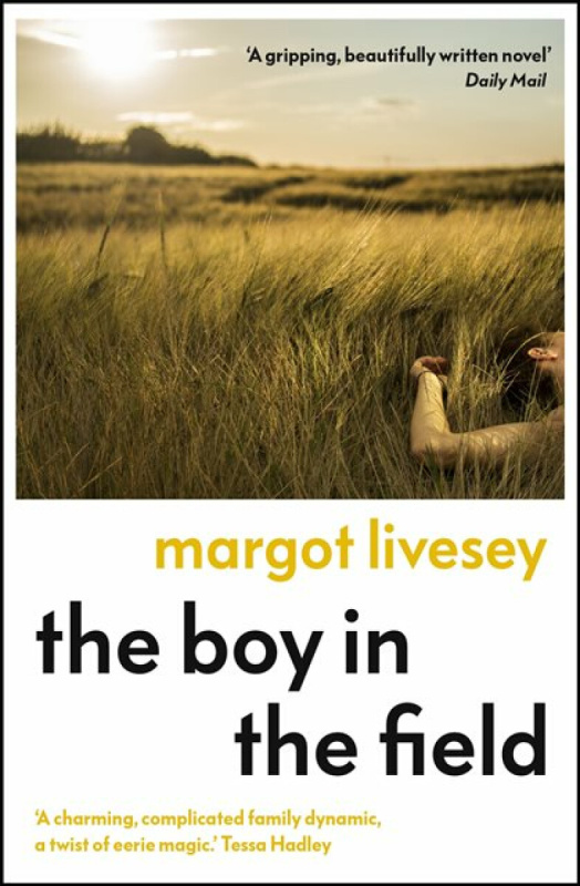 The Boy in the Field ('A superb family drama' DAILY MAIL)
