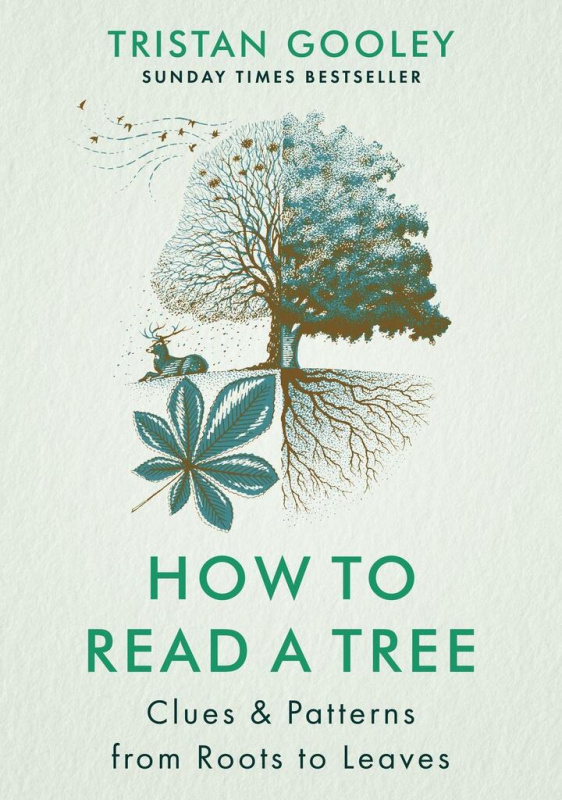 How to Read a Tree: Clues & Patterns from Roots to Leaves - kniha z kategorie Přírodní vědy a technika