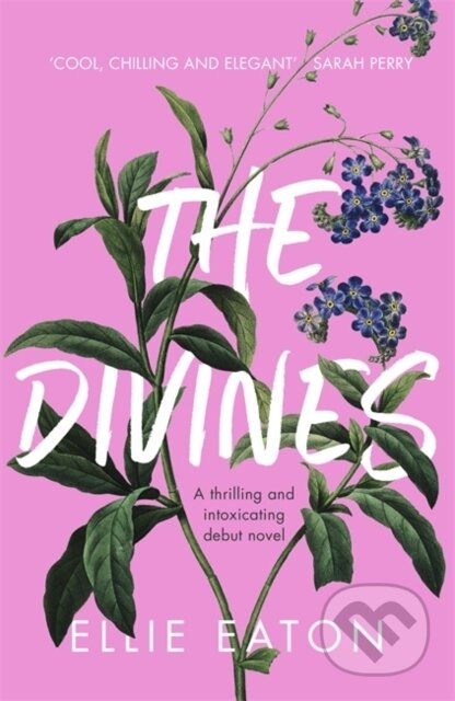 The Divines - Ellie Eaton - kniha z kategorie Společenská beletrie