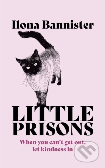 Little Prisons - Ilona Bannister - kniha z kategorie Společenská beletrie