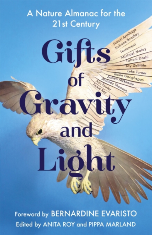 Gifts of Gravity and Light - Anita Roy, Pippa Marland