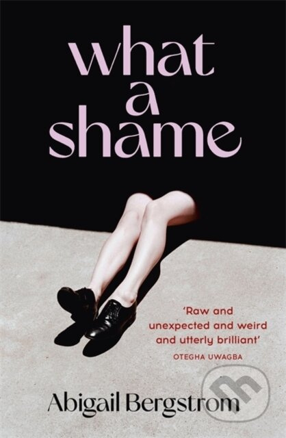 What a Shame ('Intelligent, moving and darkly comic' The Sunday Times) - kniha z kategorie Společenská beletrie