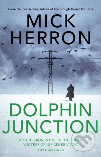 Dolphin Junction - Mick Herron - kniha z kategorie Společenská beletrie