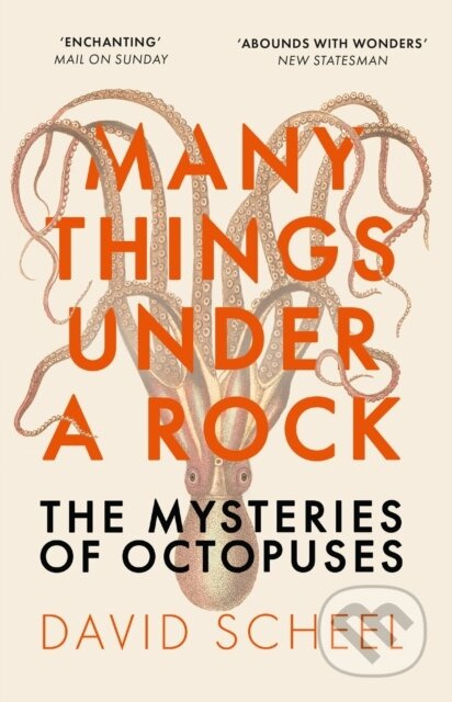 Many Things Under a Rock…