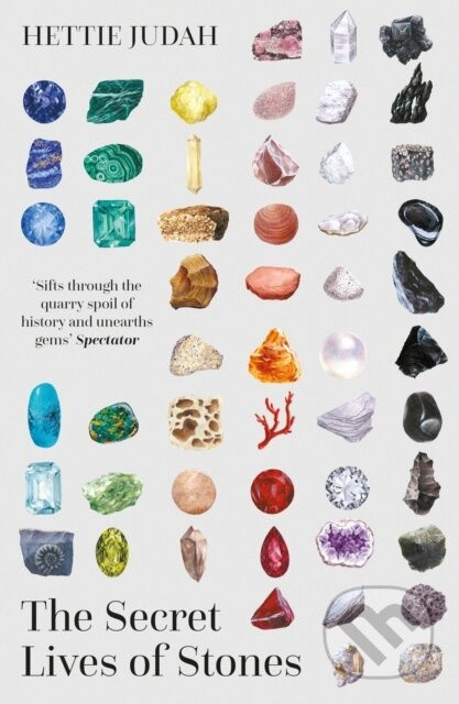 The Secret Lives of Stones ('A real cabinet of curiosities' SUNDAY TIMES) - kniha z kategorie Odborné a naučné