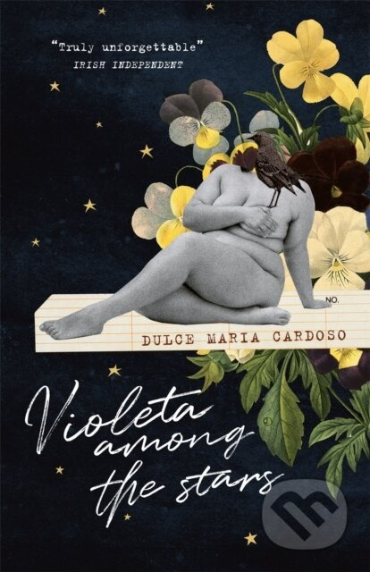 Violeta among the Stars - Dulce Maria Cardoso - kniha z kategorie Společenská beletrie