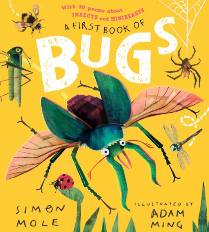 Walker Books Ltd First Book of Bugs: with 30 poems about insects and minibeasts - Mole, Simon