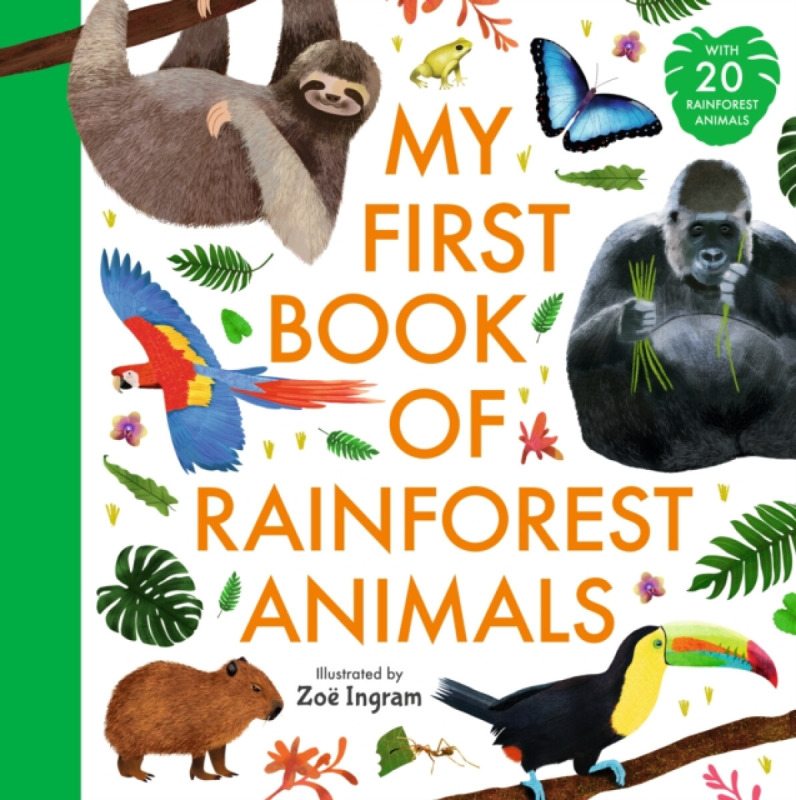 Walker Books Ltd My First Book of Rainforest Animals - Ingram, Zoe