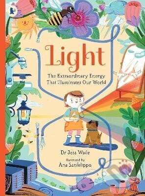 Light: The Extraordinary Energy That Illuminates Our World