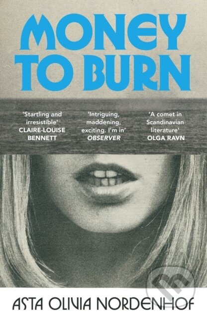 Money to Burn - Asta Olivia Nordenhof - kniha z kategorie Detektivky, thrillery a horory