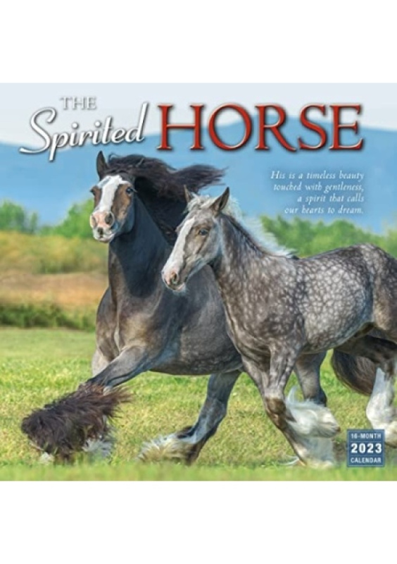 SPIRITED HORSE THE GLOBAL PUBLISHER SERVICES