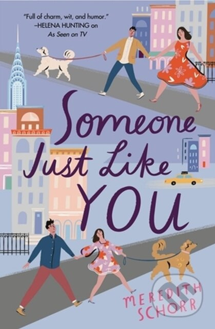 Someone Just Like You - Meredith Schorr - kniha z kategorie Romantika