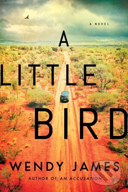 A Little Bird (A Novel) - Wendy James - kniha z kategorie Beletria