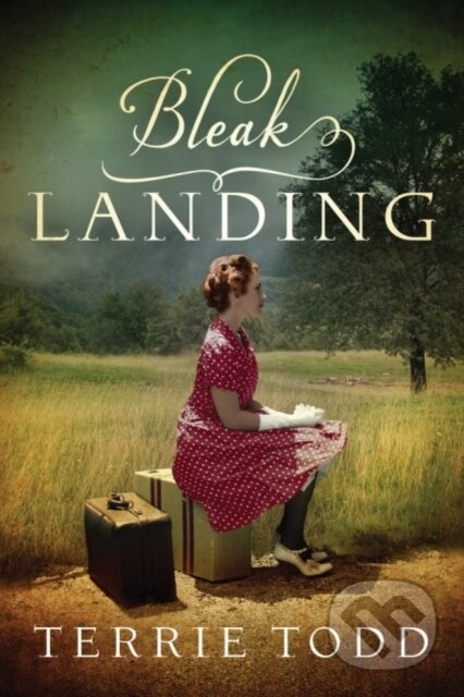Bleak Landing - Terrie Todd - kniha z kategorie Romantika
