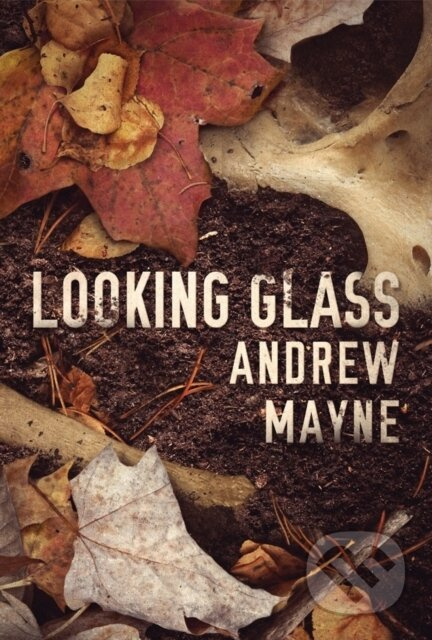 Looking Glass - Andrew Mayne - kniha z kategorie Společenská beletrie