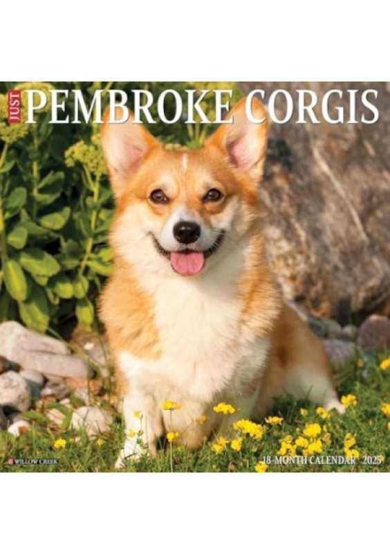 Just Pembroke Corgis 2025 12 X 12 Wall Calendar Willow Creek Press Calendars