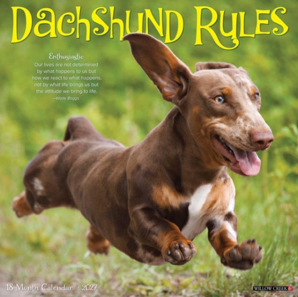 Dachshund Rules 2027 Wall Willow Creek Press