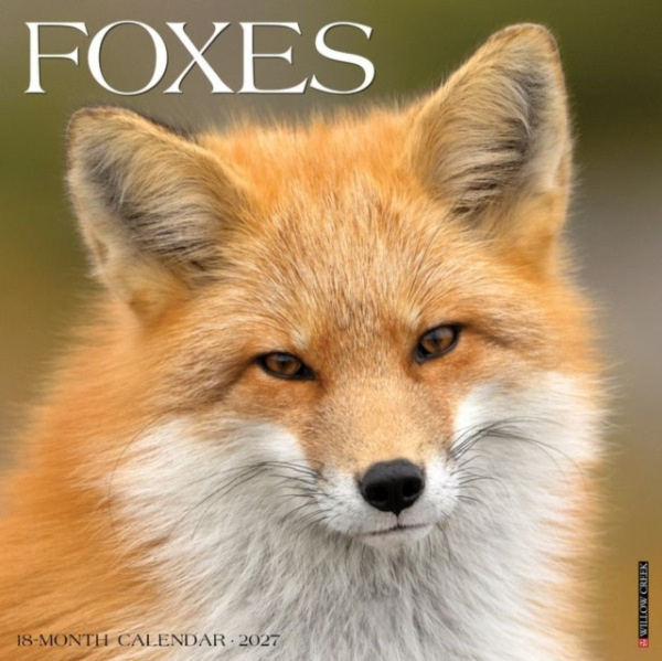 Foxes 2027 Wall Willow Creek Press