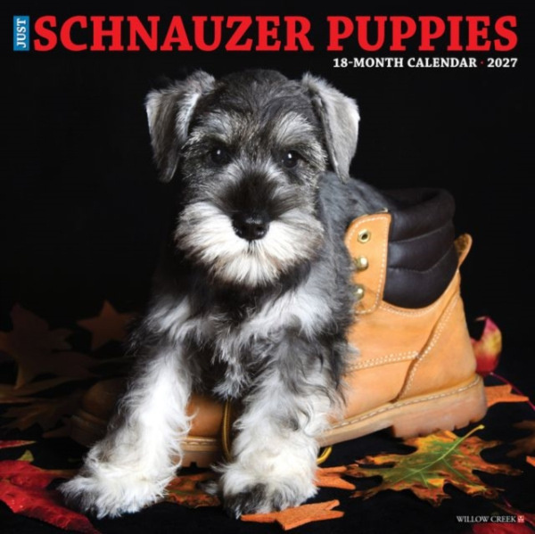 Schnauzer Puppies 2027 Wall Willow Creek Press