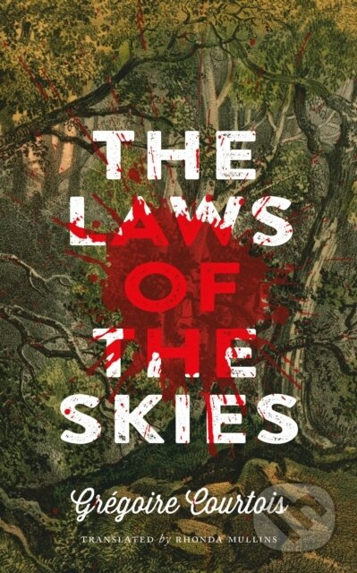 The Laws of the Skies - Gregoire Courtois - kniha z kategorie Beletrie