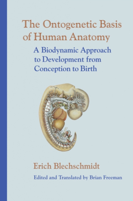 North Atlantic Books,U.S. Ontogenetic Basis of Human Anatomy - Blechschmidt, Erich