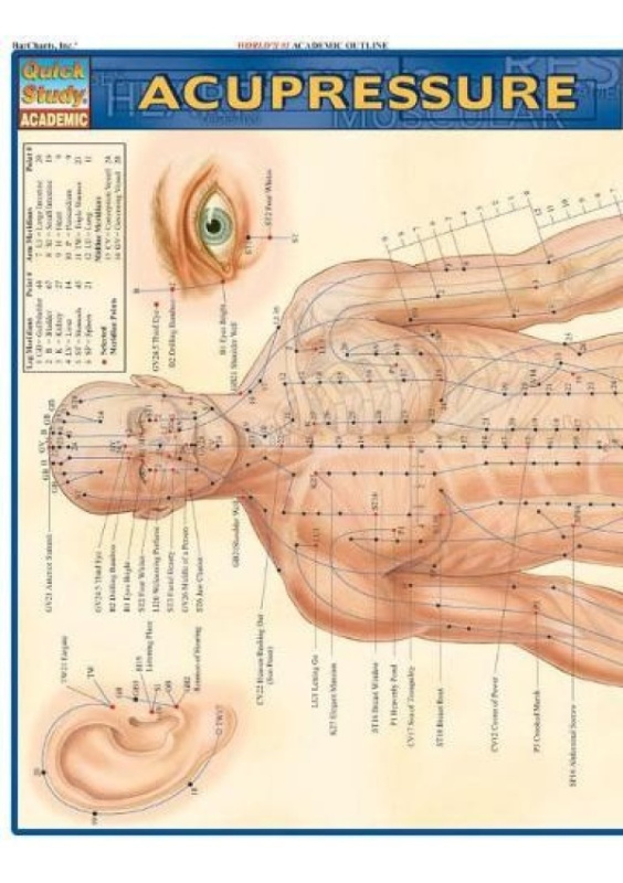 Acupressure Barcharts, Inc