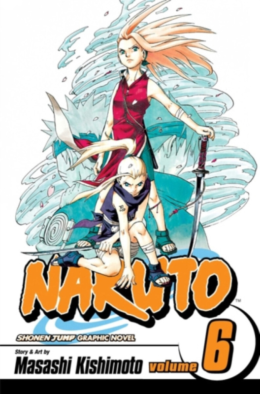 Naruto, Vol. 6: Predator - Masashi Kishimoto - kniha z kategorie Sci-fi, fantasy a komiksy