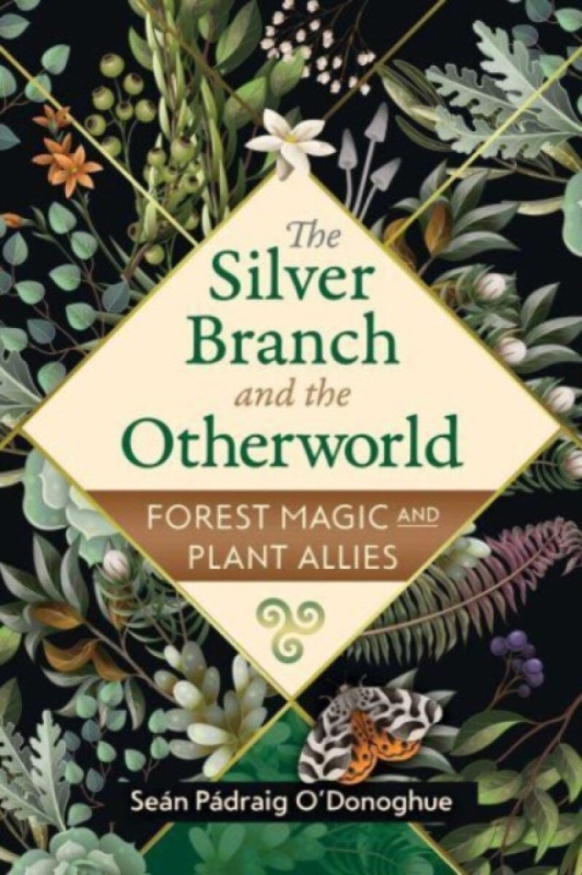 The Silver Branch and the Otherworld - SeÃ¡n PÃ¡draig O'Donoghue