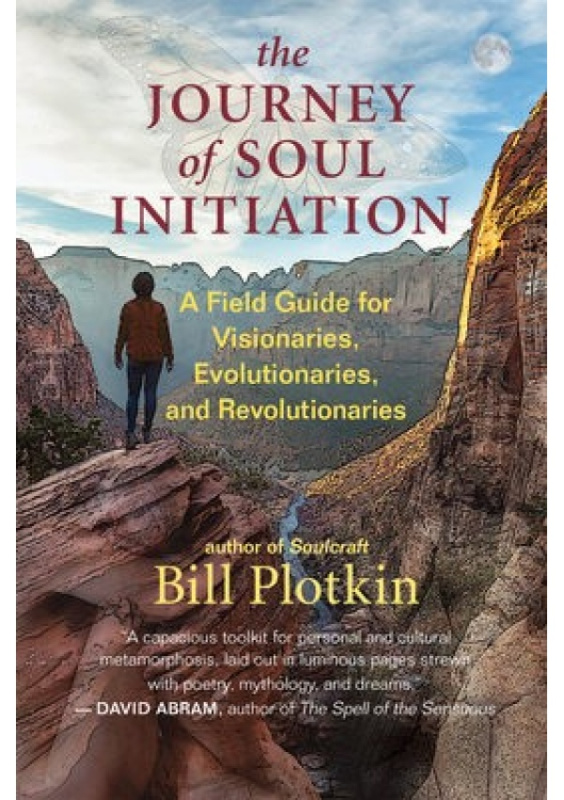 Journey of Soul Initiation, A Field Guide for Visionaries, Revolutionaries, and Evolutionaries New World Library