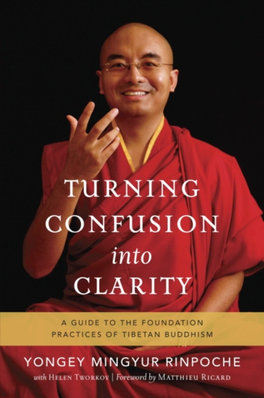 Turning Confusion into Clarity - Yongey Mingyur Rinpočhe, Helen Tworkov