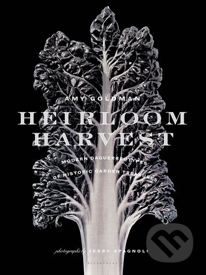 Heirloom Harvest (Modern Daguerreotypes of Historic Garden) - kniha z kategorie Dům, byt a zahrada