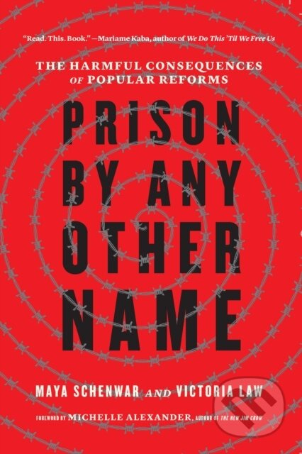 Prison by Any Other Name (The Harmful Consequences of Popular Reforms) - kniha z kategorie Humanitní a společenské vědy