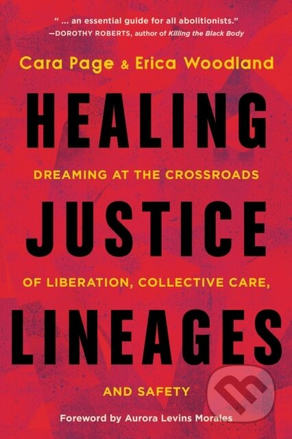 Healing Justice Lineages (Dreaming at the Crossroads of Liberation, Collective Care, and Safety) - kniha z kategorie Humanitní a společenské vědy