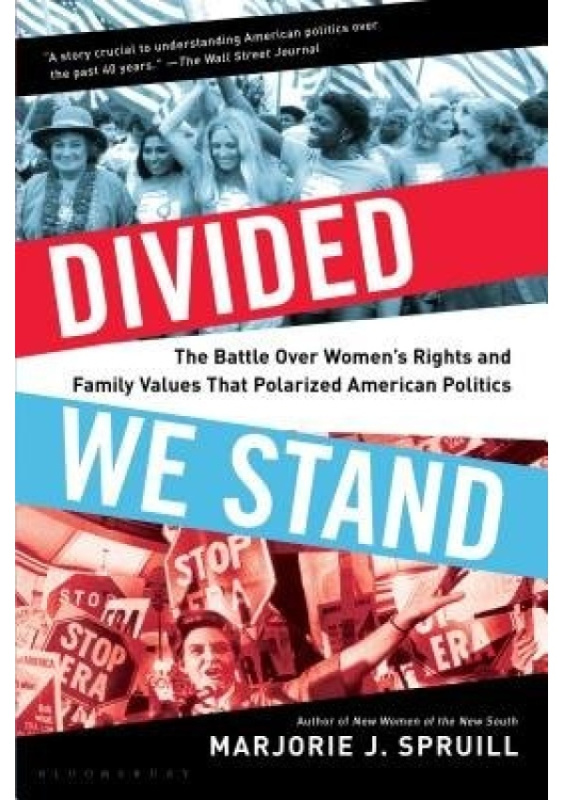 Divided We Stand, The Battle Over Womens Rights and Family Values That Polarized American Politics Bloomsbury Publishing USA