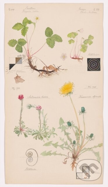 Hilma af Klint, What Stands Behind the Flowers Museum of Modern Art