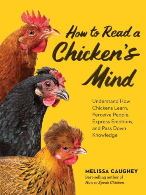 Workman Publishing How to Read a Chicken's Mind - Caughey, Melissa
