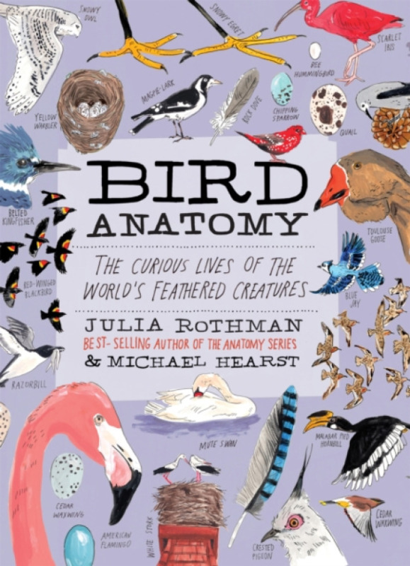 Workman Publishing Bird Anatomy - Rothman, Julia a Hearst, Michael
