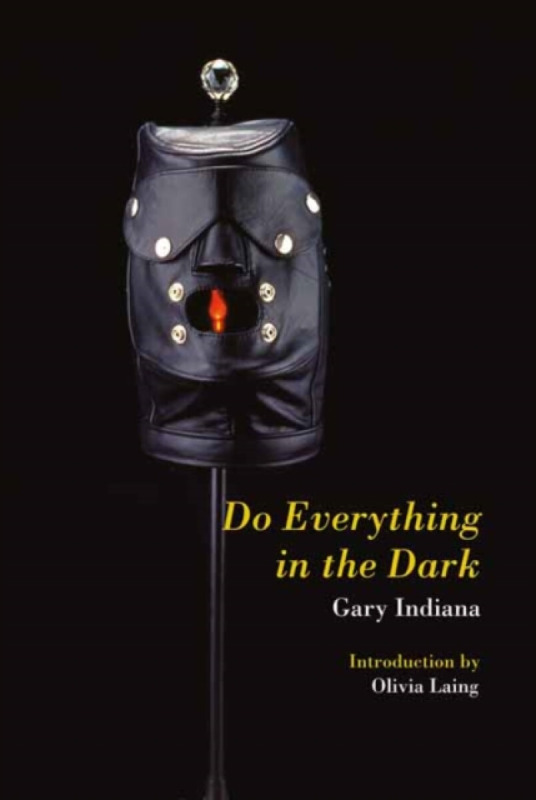 Do Everything in the Dark - Gary Indiana
