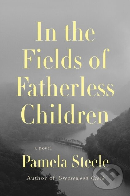 In The Fields of Fatherless Children (A Novel) - Pamela Steele - kniha z kategorie Spoločenská beletria