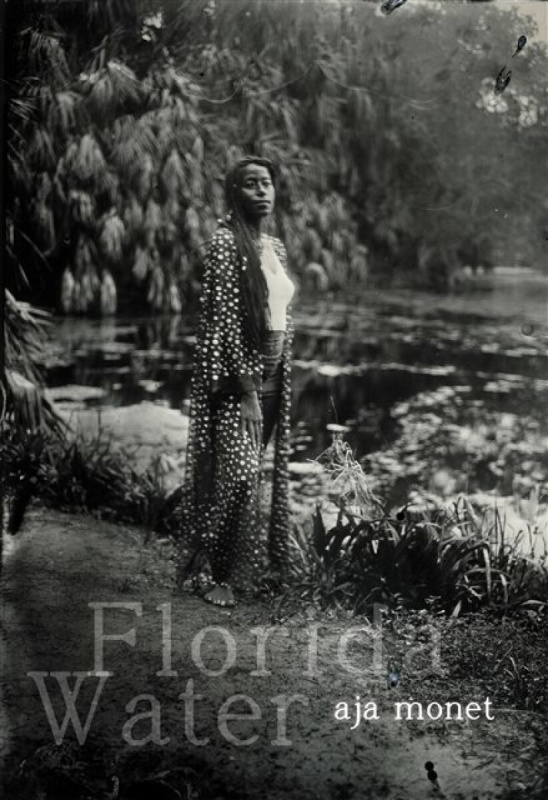 Florida Water, Poems Haymarket Books