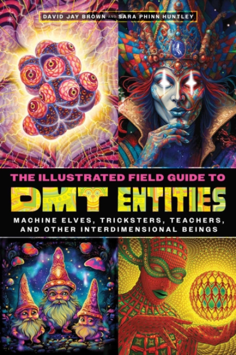 Inner Traditions Bear and Company Illustrated Field Guide to DMT Entities - Brown, David Jay a Huntley, Sara Phinn