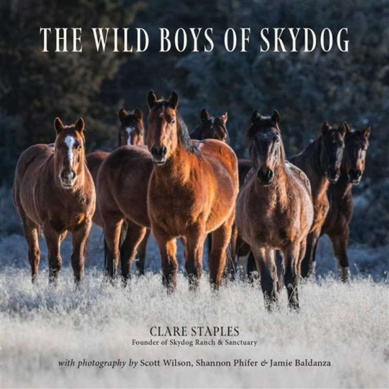 Trafalgar Square Wild Boys of Skydog - Staples, Clare