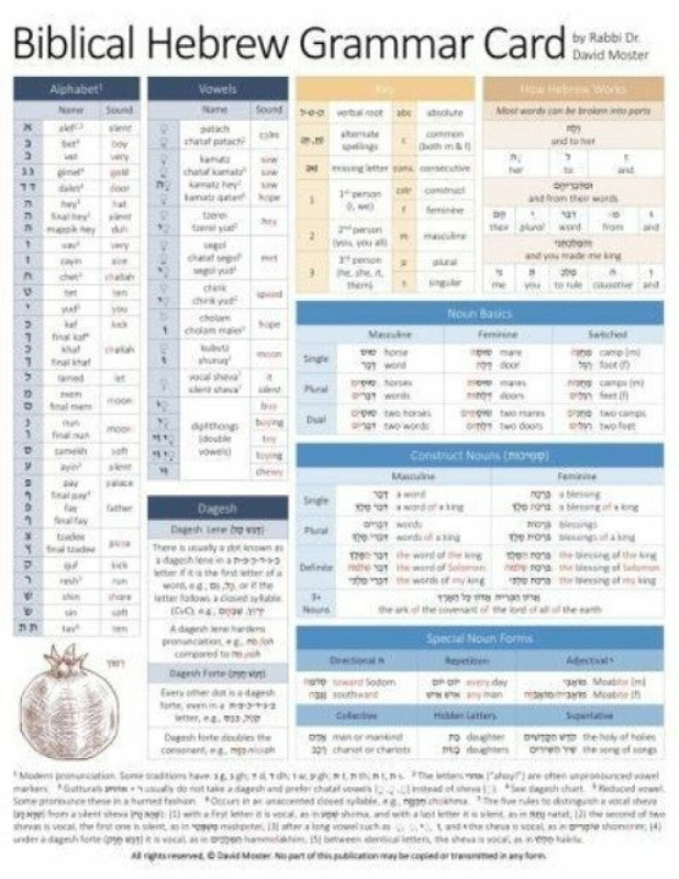 Biblical Hebrew Grammar Card - David Moster