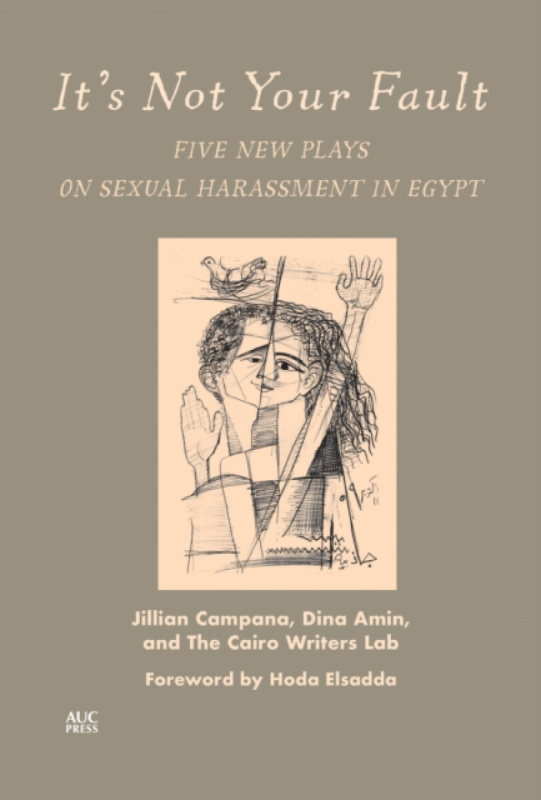 It's Not Your Fault - Dina Amin, The Cairo Writers Lab, Jillian Campana