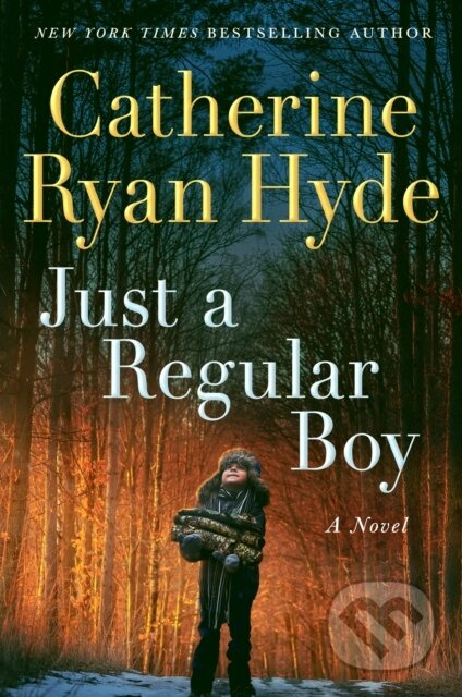 Just a Regular Boy (A Novel) - Catherine Ryan Hyde - kniha z kategorie Společenská beletrie